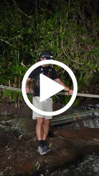 BIB:  <button type="button" onclick="openModal(27714119)" class="btn btn-primary btn-sm float-right" data-toggle="modal" data-target=".modal-high-quality">
                <i class="fa fa-download"></i> Download
                </button>